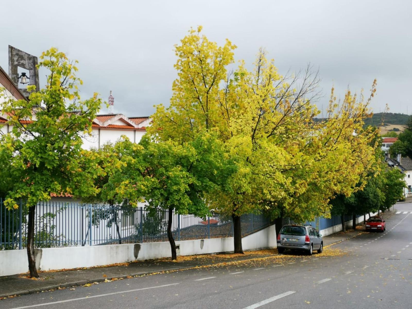 Casa Flipe - C Apartment Bragança Exterior foto